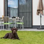 Luxus_eg_fewo Time Out _we 2_ شقة Göhren-Lebbin